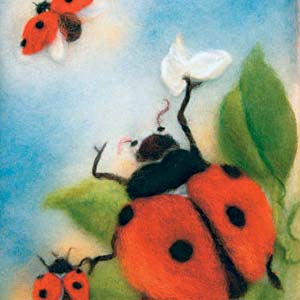39. Ladybirds